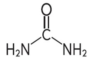 Chemical Structure (Carbonic Acid)